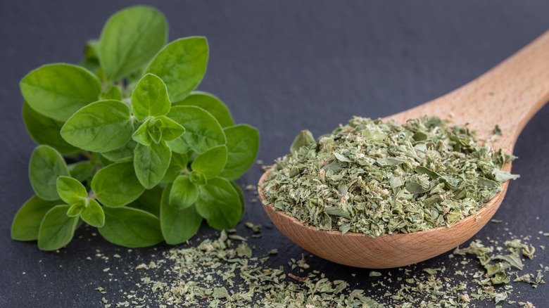 dried and fresh oregano