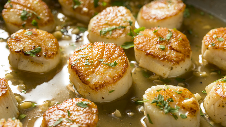 pan-seared scallops in broth