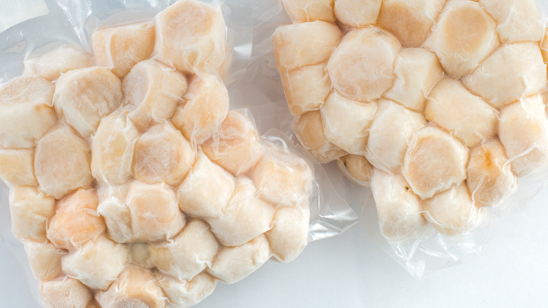 vacuum-packed frozen scallops