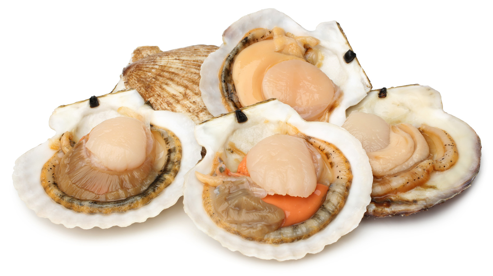 14 Tips You Need When Cooking With Scallops