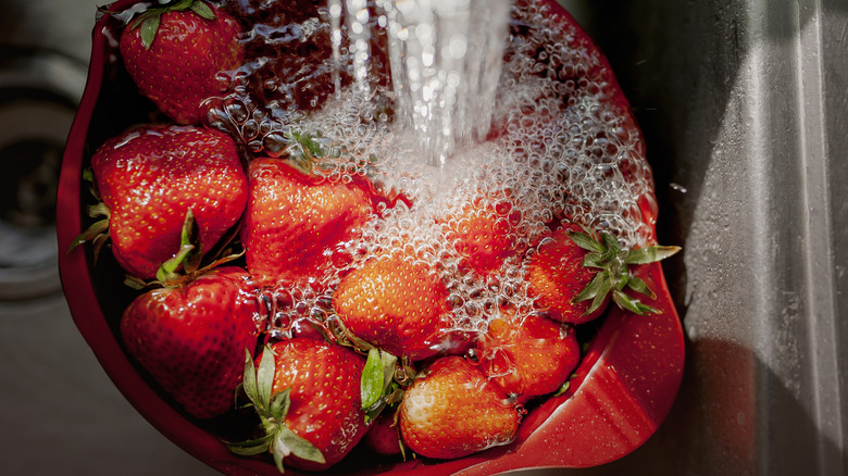 Strawberries under water facet