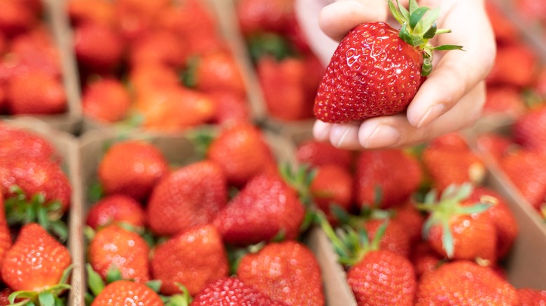 Hand holding a strawberry