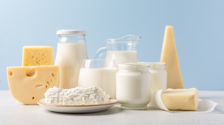 Variety of dairy products