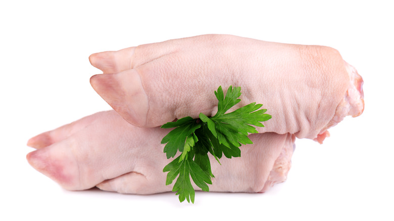 pig feet with parsley