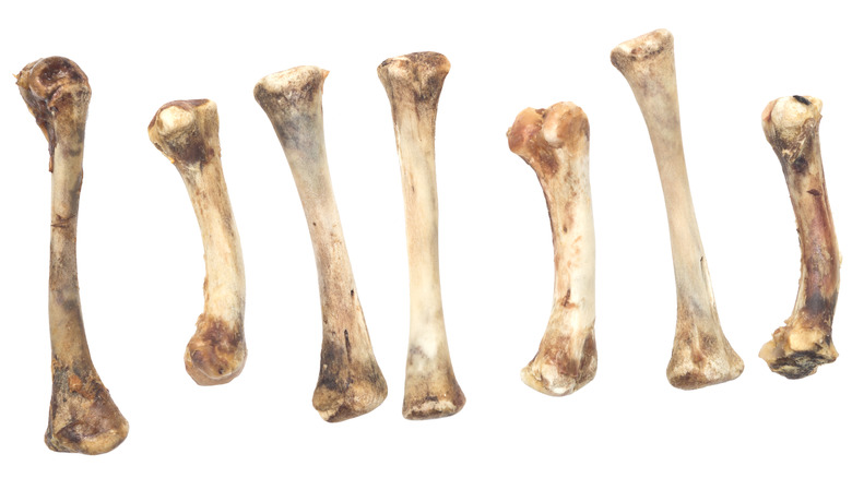 chicken bones on white background