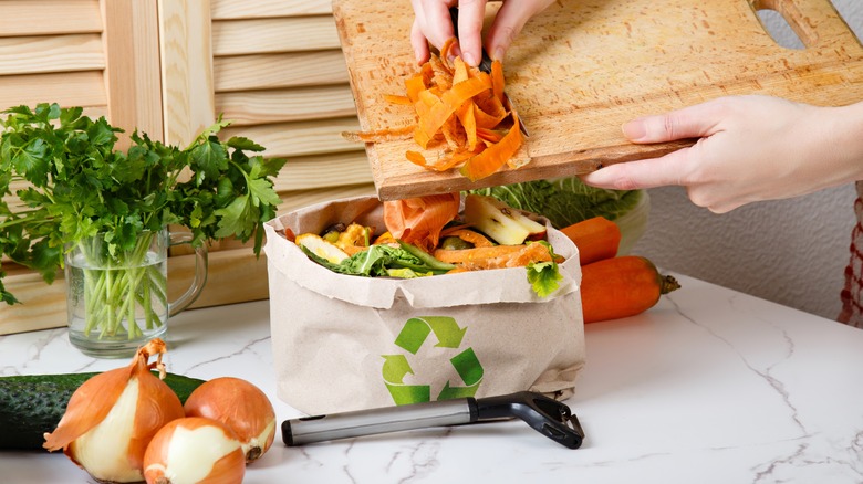 vegetable scraps in eco bag