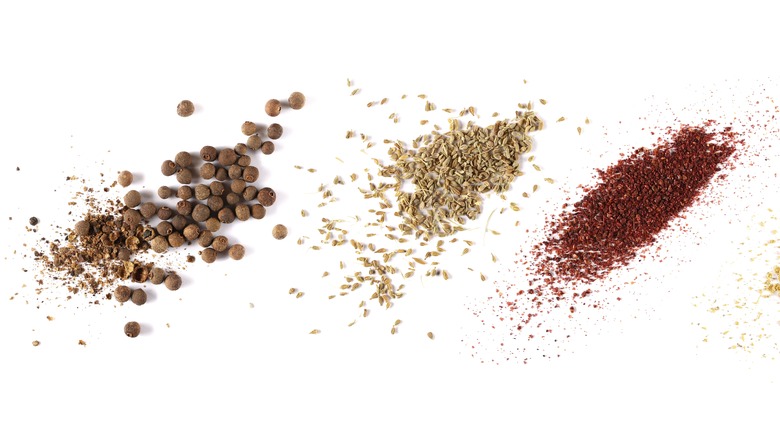 spices on white background