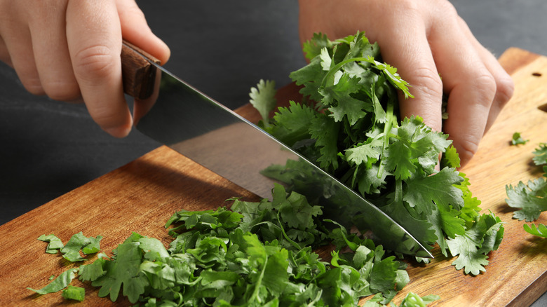 A cook chops herbs