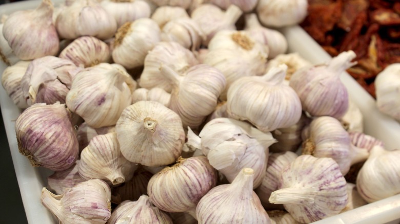 Bulbs of garlic