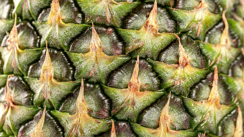 Closeup of pineapple skin