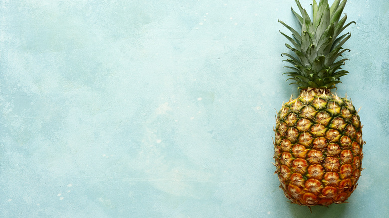 Whole pineapple blue background