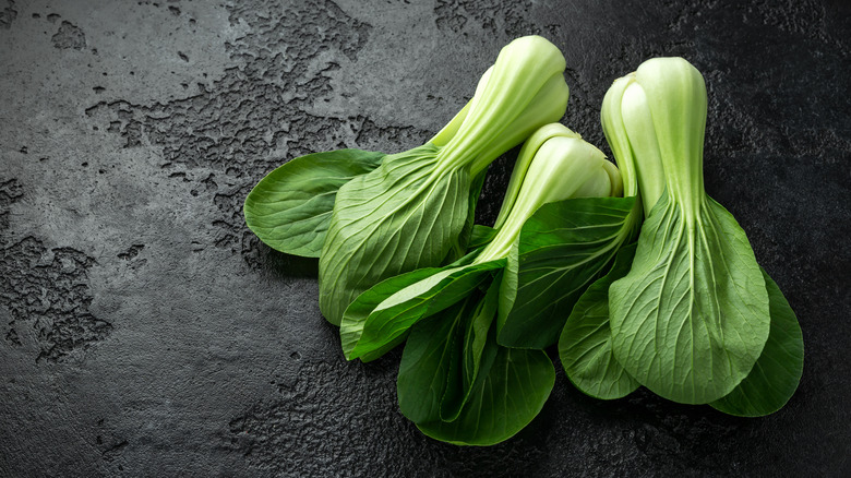 bok choy green cabbage