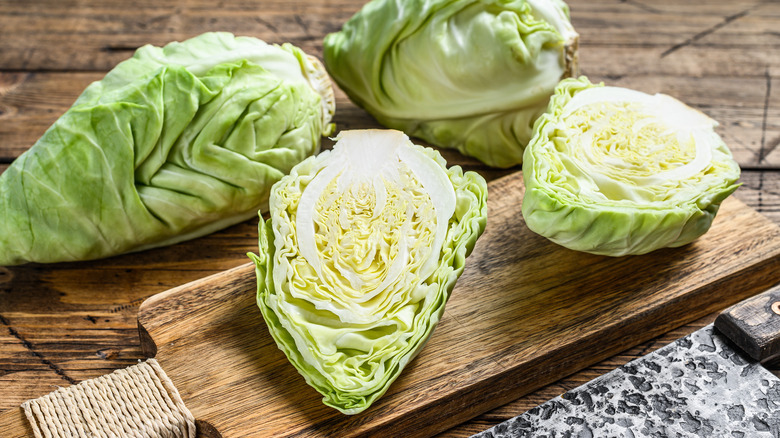 pointed leaf green cabbage