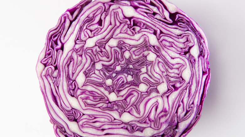 textured center of red cabbage bulb