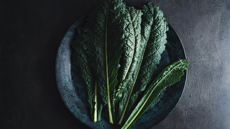 dark green Tuscan cabbage leaves 