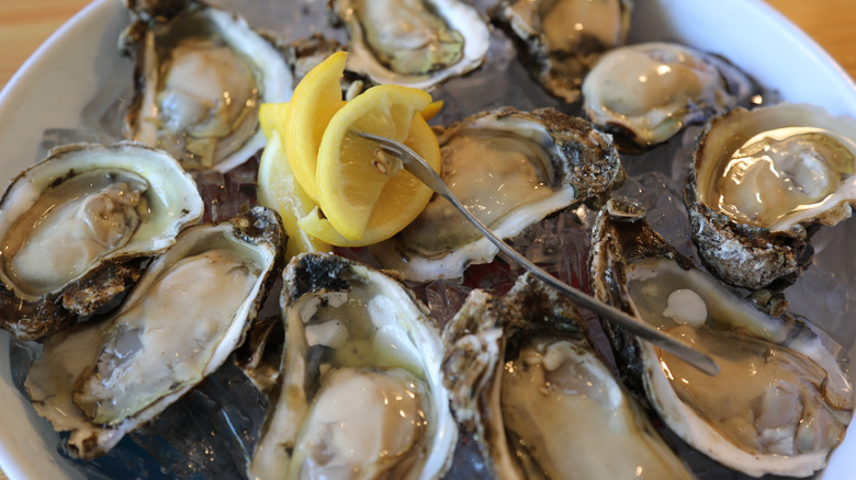 plate of iced open gulf oysters