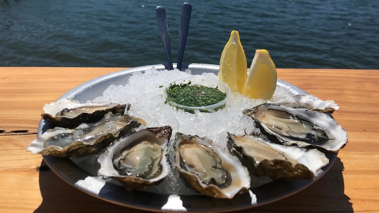 Pacific preston point oyster plate