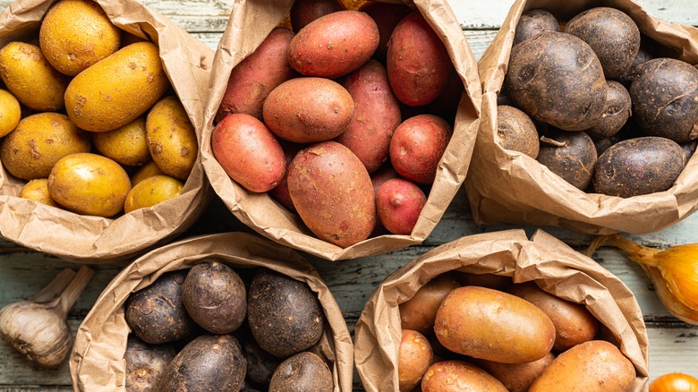 Canchan potatoes in sacks