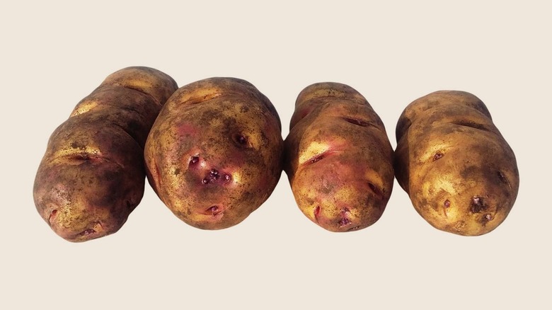 Huayro Macho potatoes