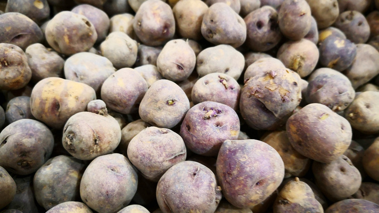 Pile of black potatoes