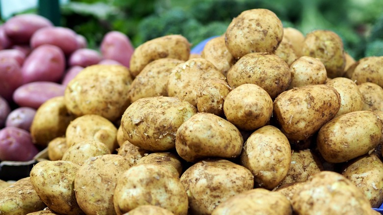 Display of sebago potatoes