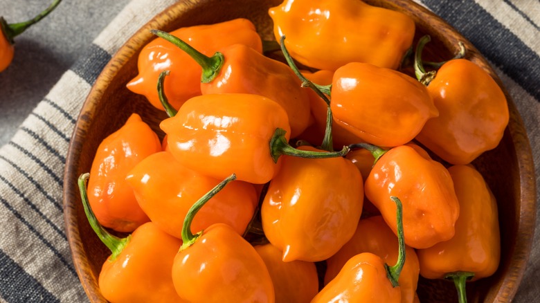 A bowl of habanero amarillas