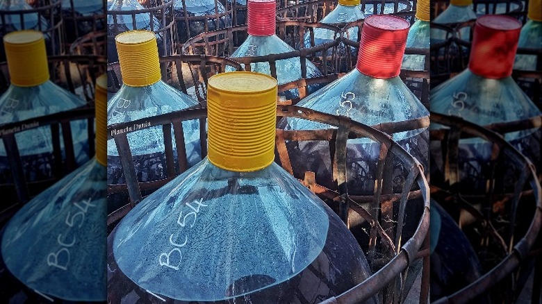 Aging Banyuls wine in jugs