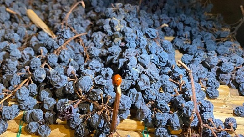 Vin Santo grapes drying