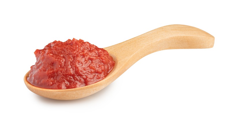 wooden spoon of tomato paste