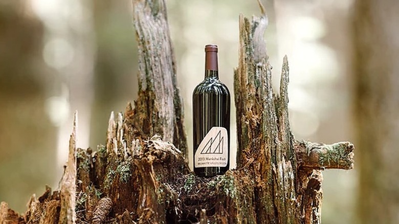 wine bottle on tree trunk