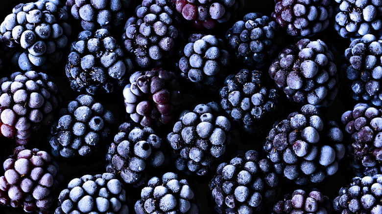 Close-up of fresh frozen blackberries