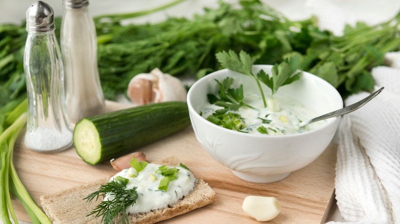 Freshly made tzatziki sauce 