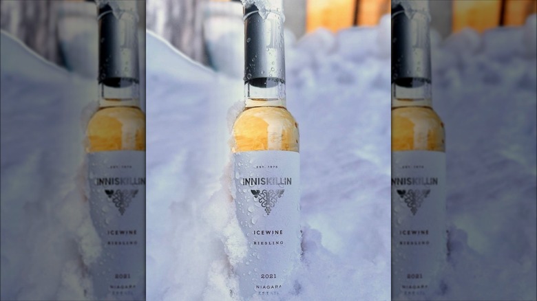 ice wine bottle in snow