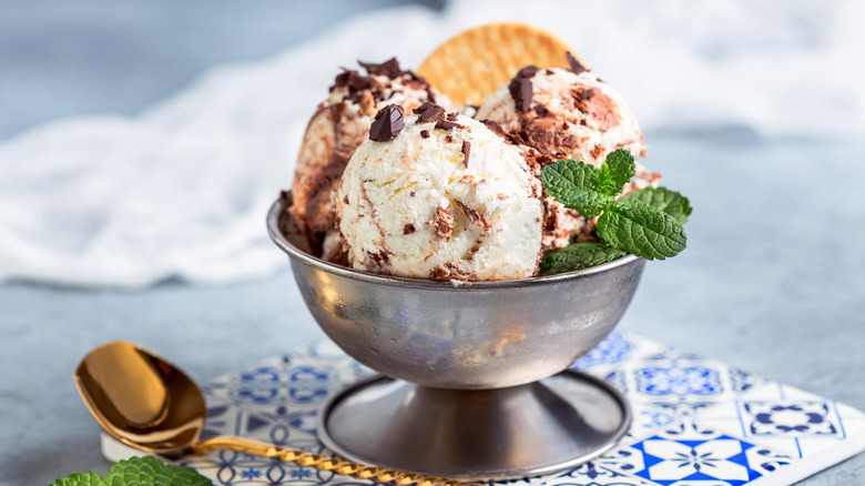 chocolate chip ice cream in a silver metal bowl