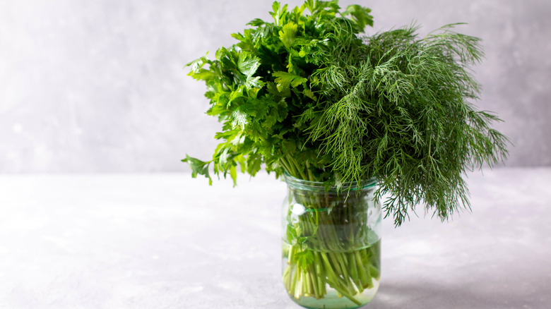 Aromatic herbs in water