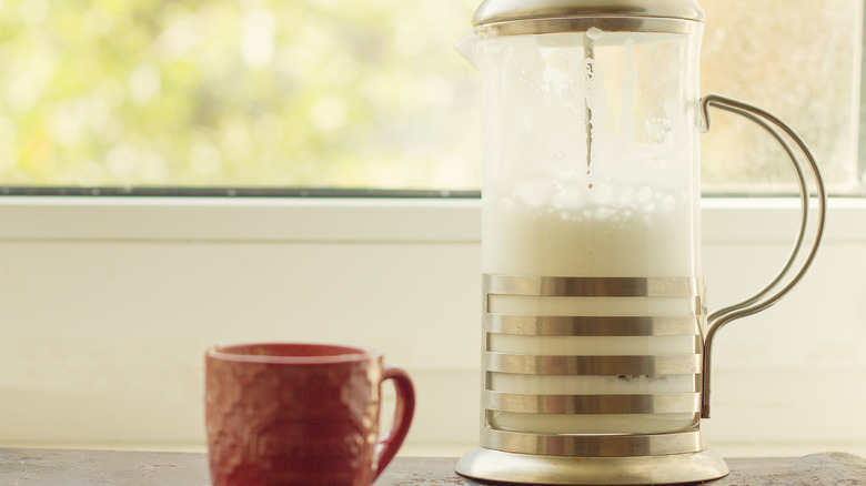 Frothed milk in French press