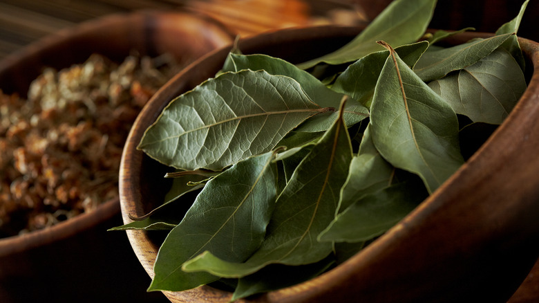 fresh bay leaves