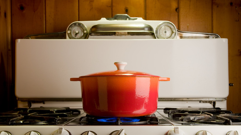 pot simmering on the stove