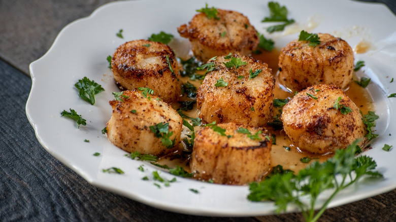 browned scallops on a plate