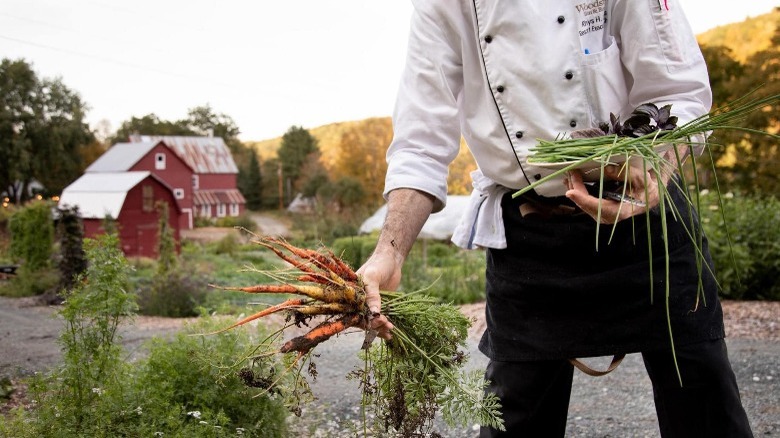 Person picking carrots