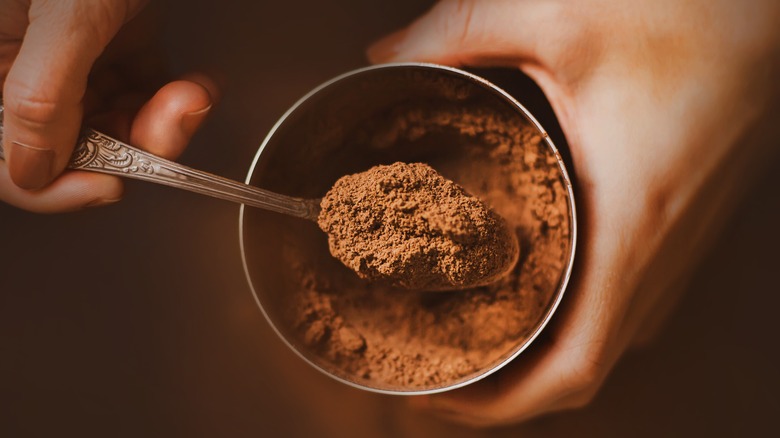 Cocoa powder on spoon