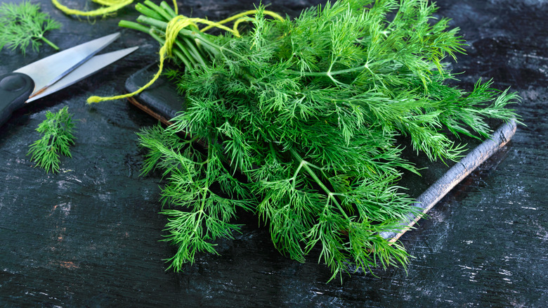 Fresh cut dill on a table