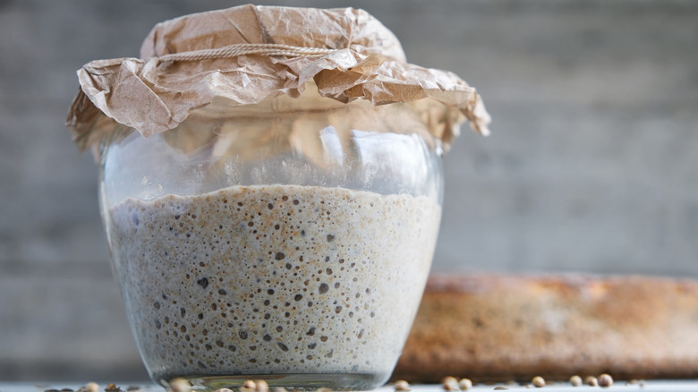 Sourdough in glass jar