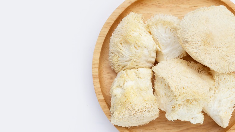 Lions mane mushroom wood plate