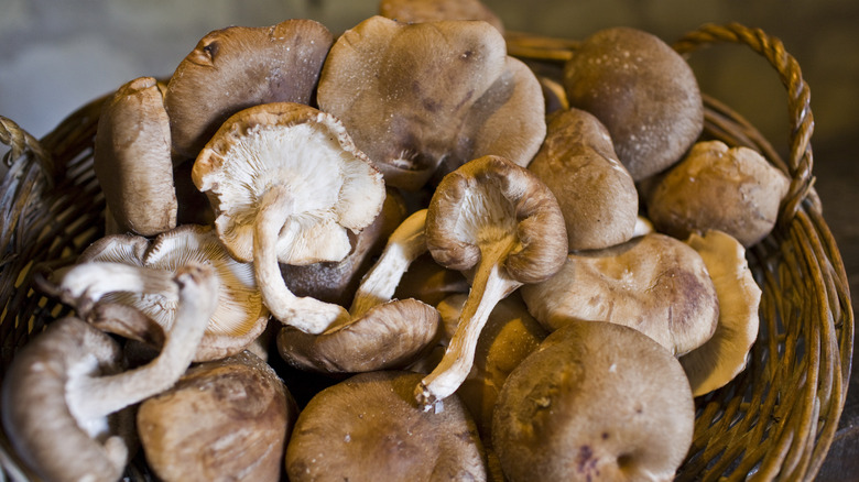 Basket shiitake mushrooms