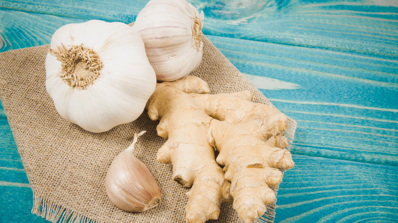 Close up on garlic bulbs with ginger on blue wooden table