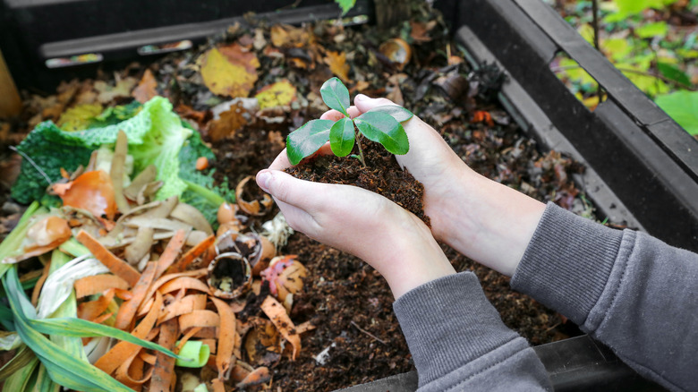 Open compost bin