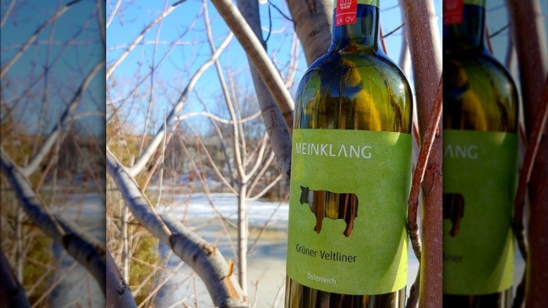 bottle of Meinklang grüner veltliner