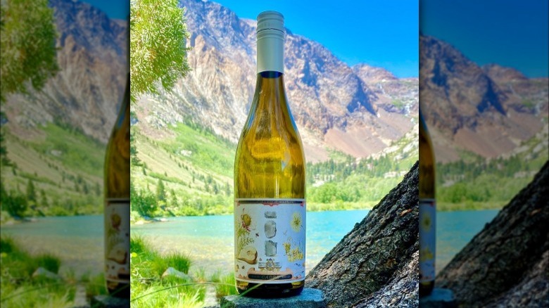 wine bottle with lake view