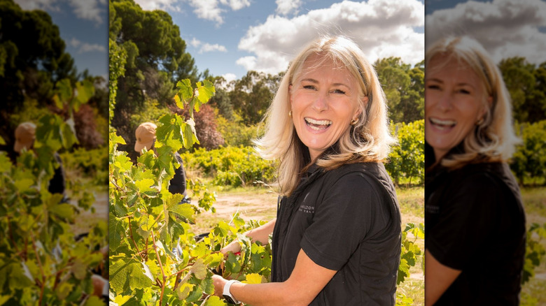 Mary Hamilton pruning vines in a vineyard